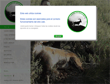 Tablet Screenshot of hunting-jbg.com